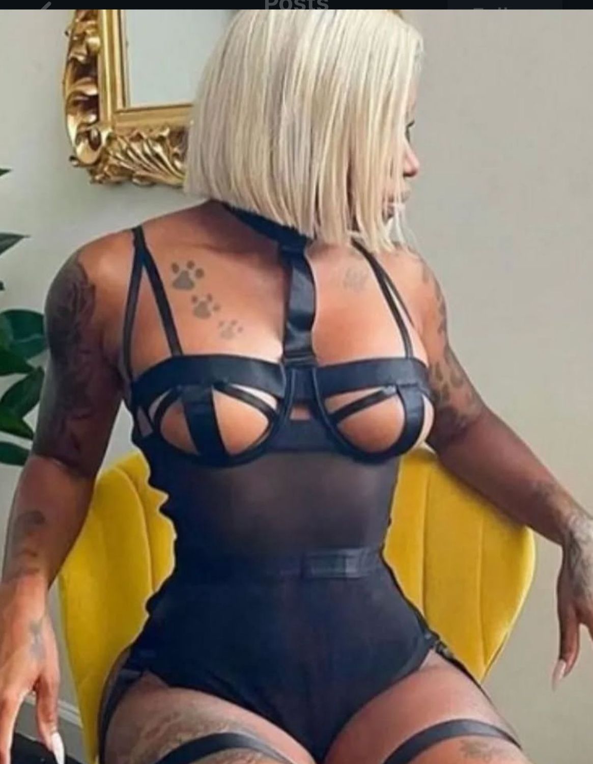 Mesh Domx Teddy - Black