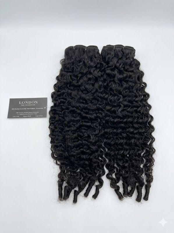 Bundle - Burmese Curl 1B