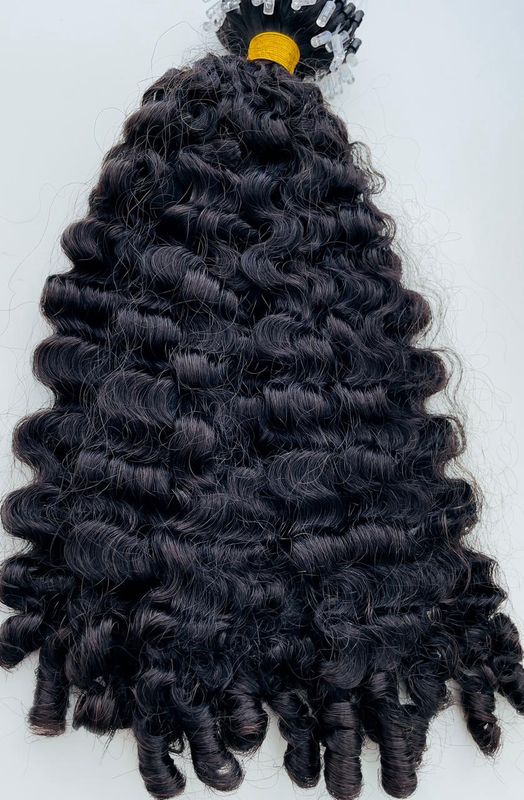 Micro Loop - Burmese Curl 1B