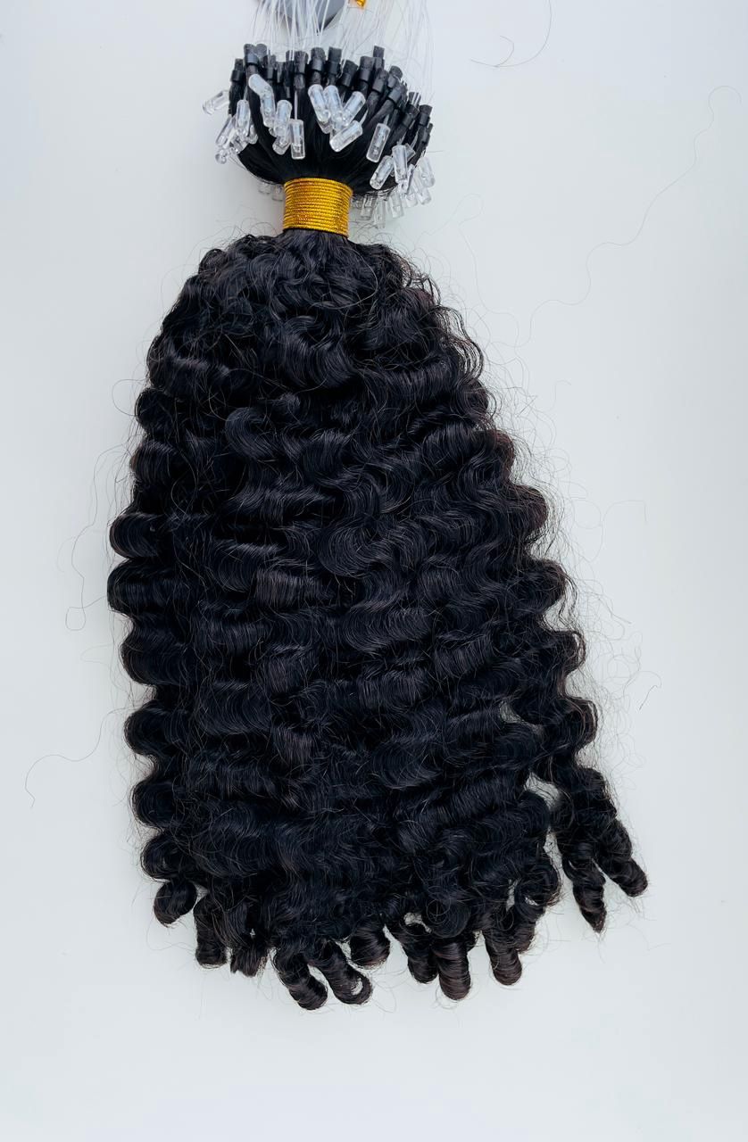 Micro Loop - Burmese Curl 1B