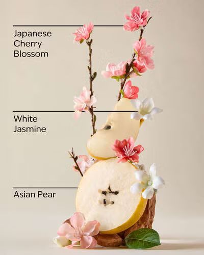 Bath &amp; Body Works Candle - Japanese Cherry Blossom