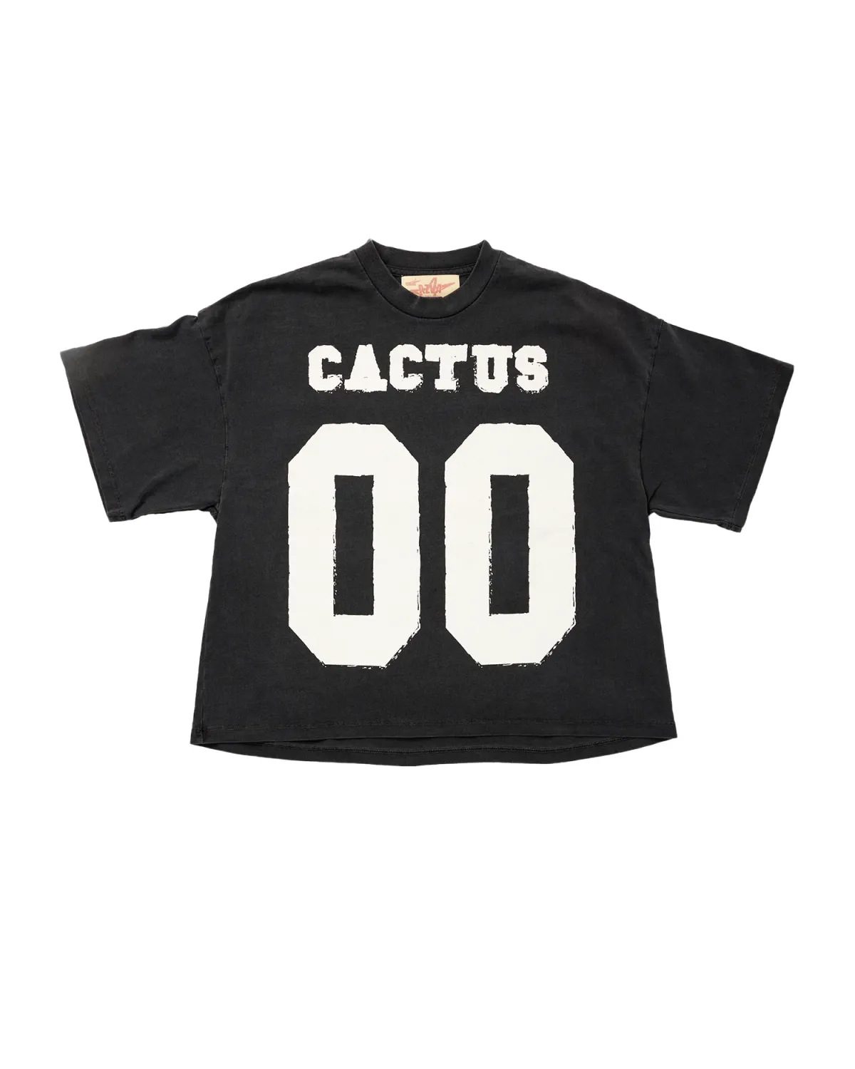 Cactus Valley 00 Tee