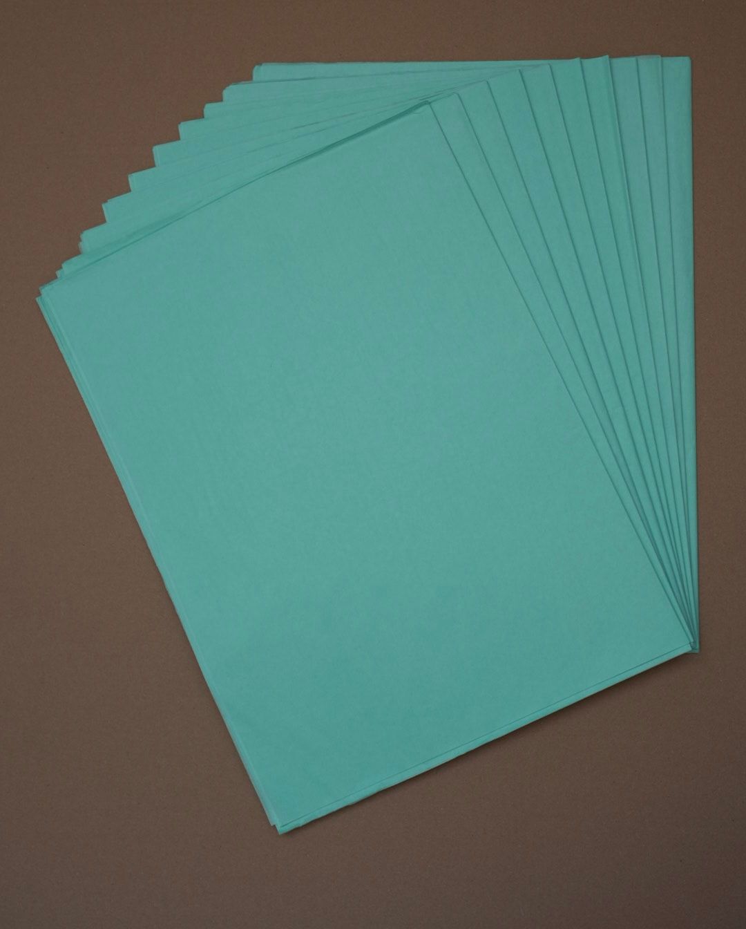 Colored Tissue Paper Clayrtons Sage 10X