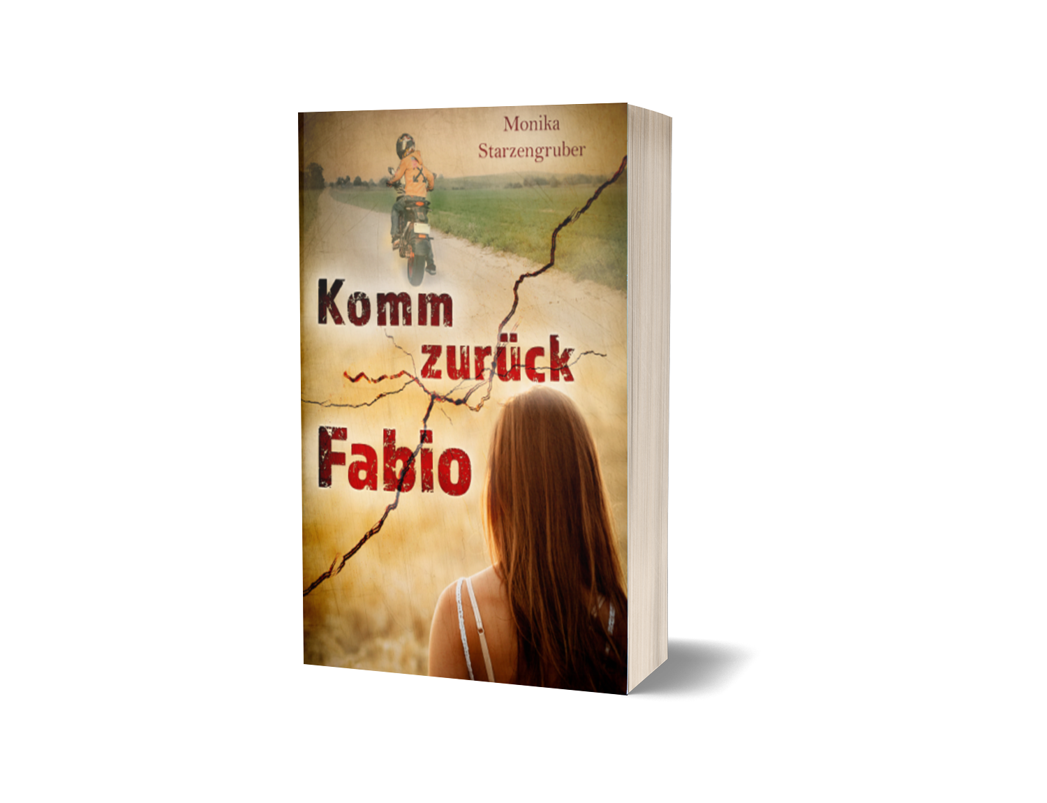 "Komm zurück, Fabio" Taschenbuch