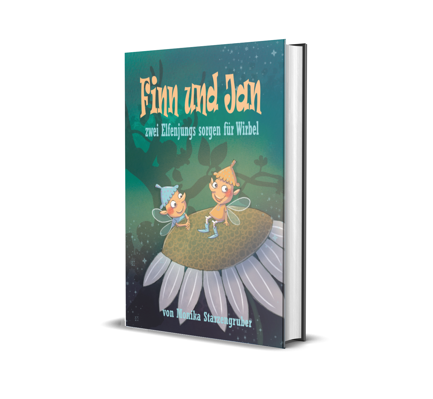 "Finn und Jan - zwei Elfenjungs sorgen für Wirbel" Hardcover