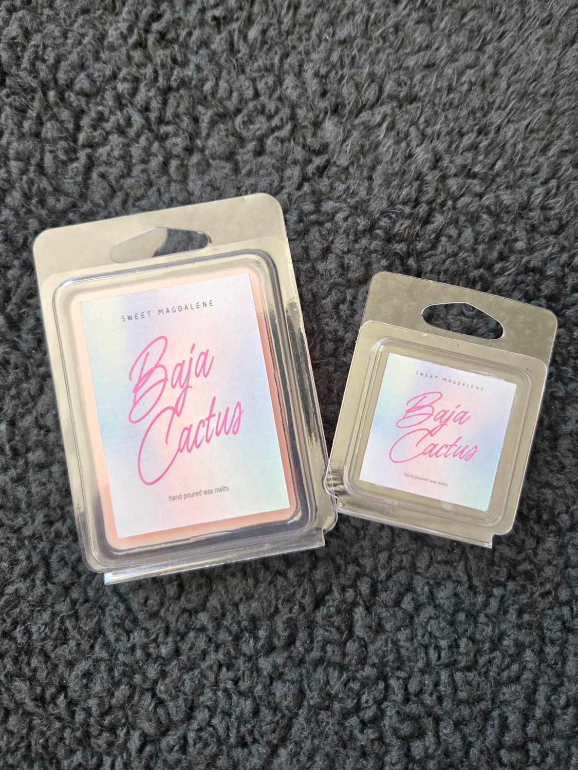 Baja Cactus Coconut Wax Melts-6
