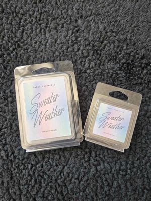 Sweater Weather Coconut Wax Melts-6
