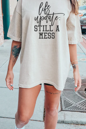 Life Update, Still A Mess