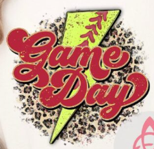 Game Day-Softball