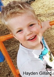 �Hayden Gillard