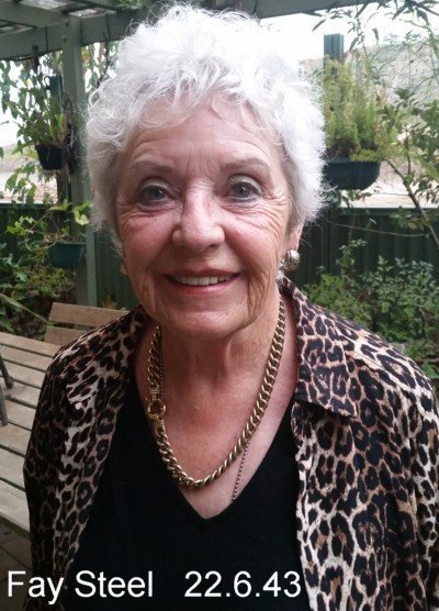 Fay Steel