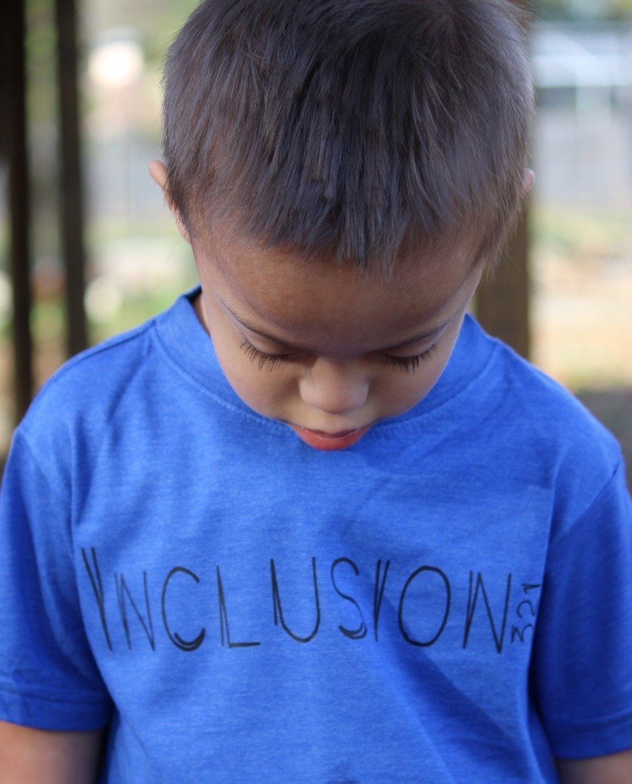 Inclusion 321