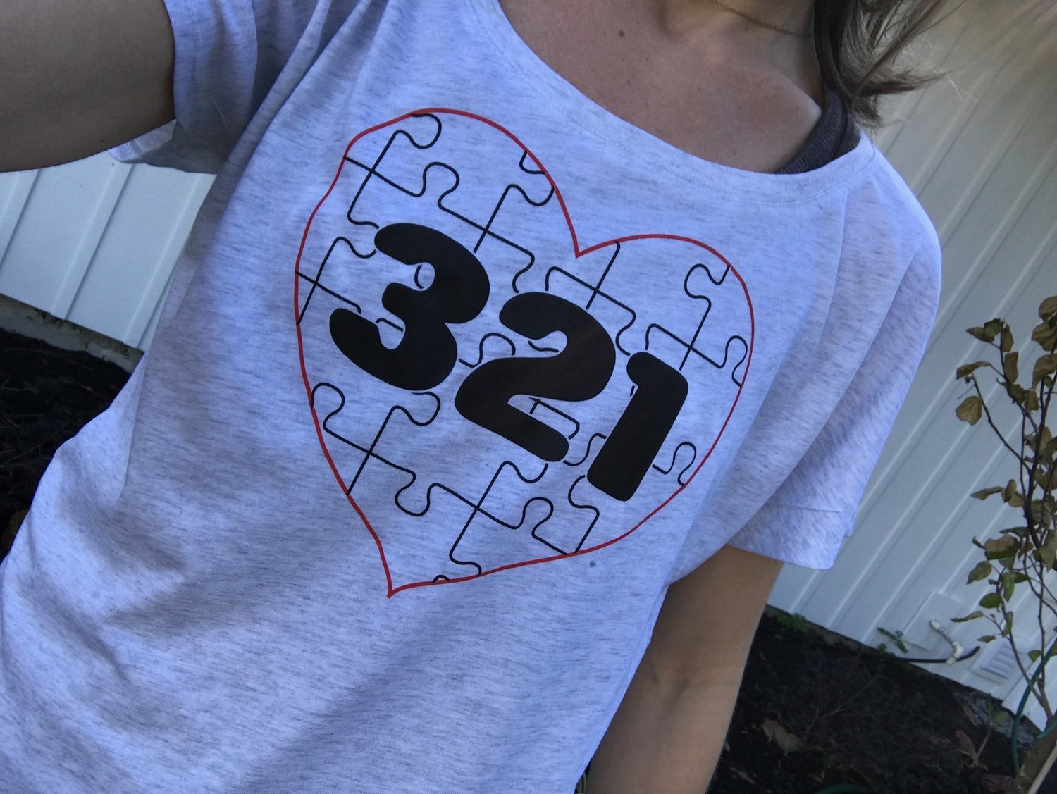 HEART -321