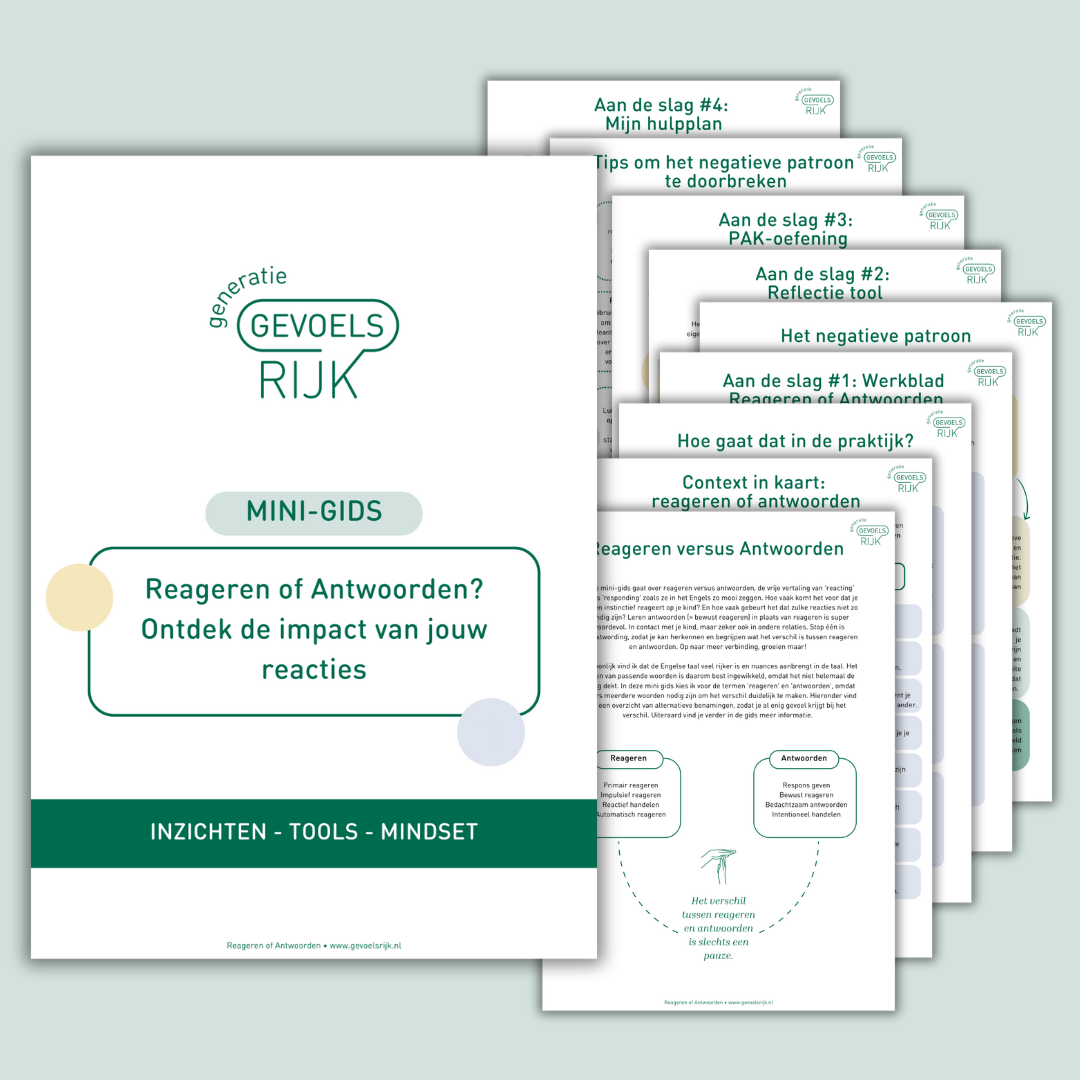 Mini-gids Reageren of Antwoorden | Digitale download