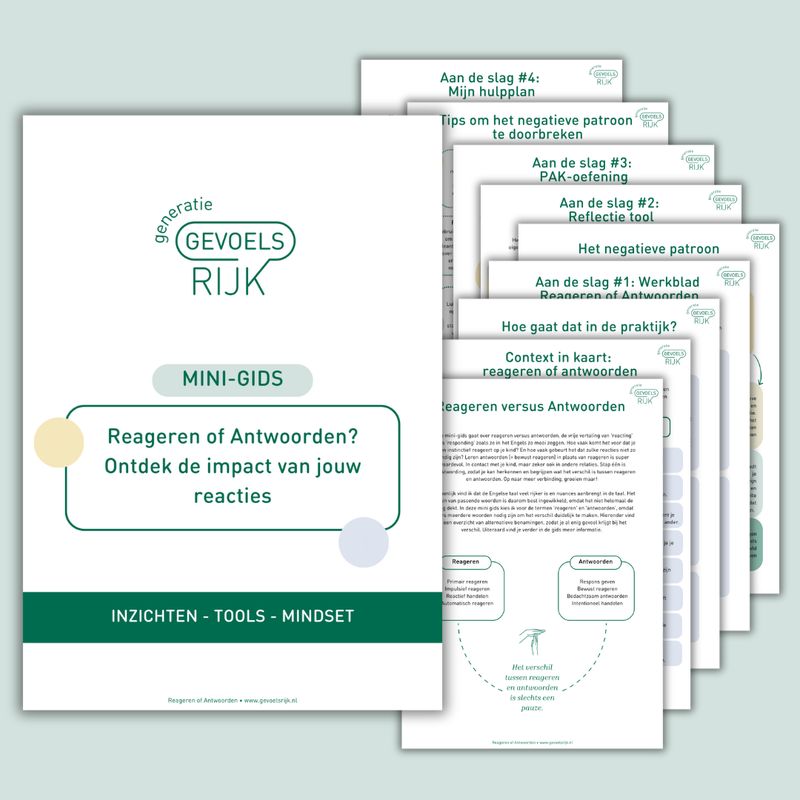 Mini-gids Reageren of Antwoorden | Digitale download
