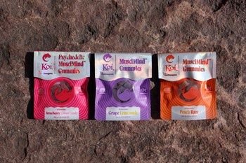 Koi Muscimind Gummies
