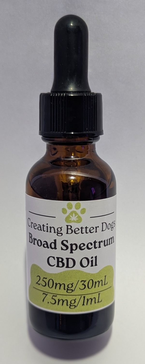 Creating Better Dogs