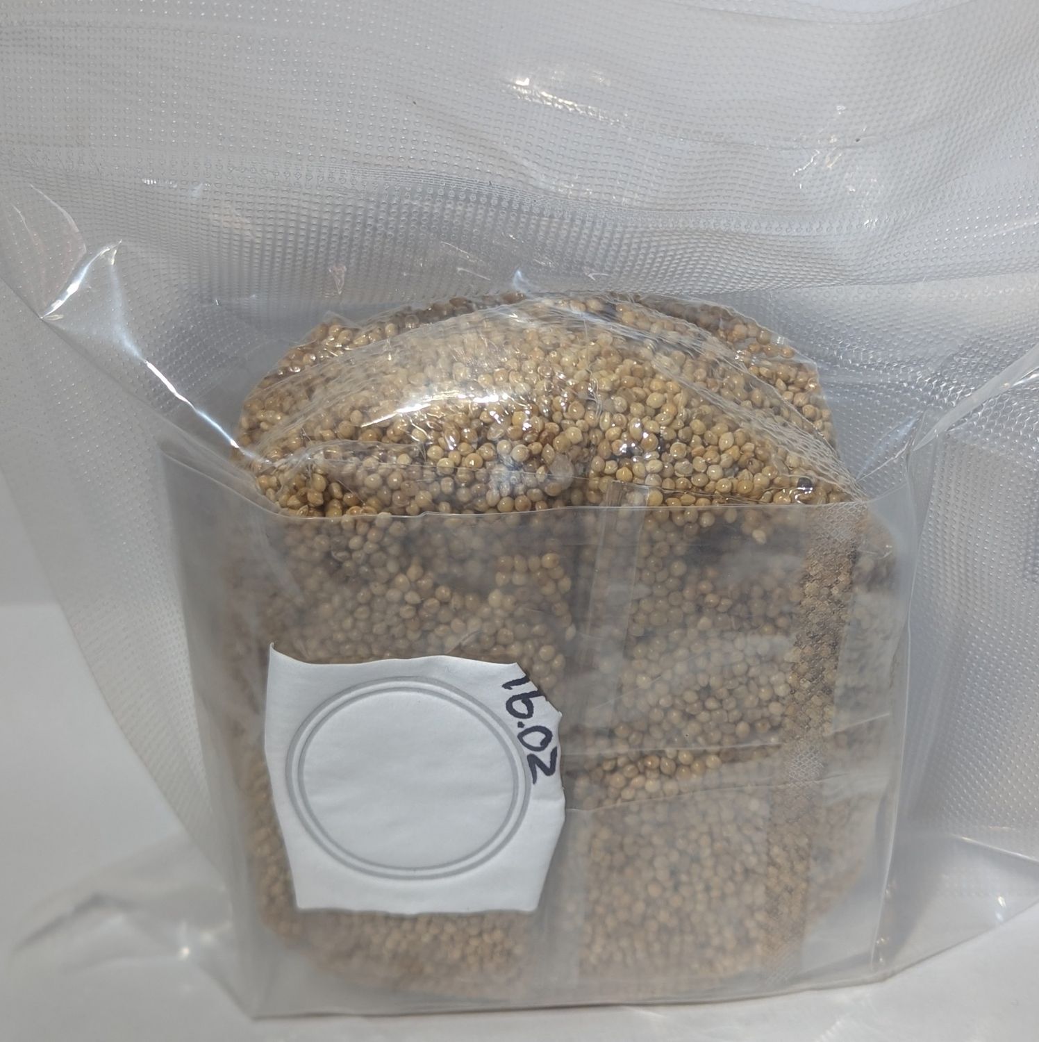 Sterilized Grain Spawn (1 lb)