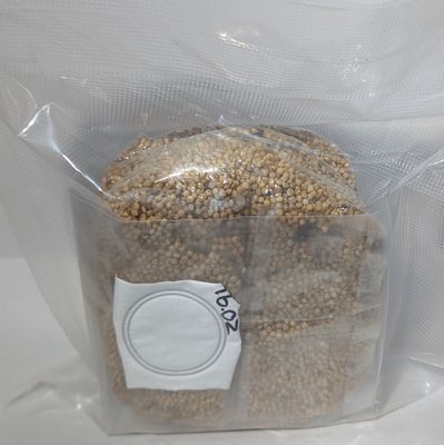 Sterilized Grain Spawn (1 lb)