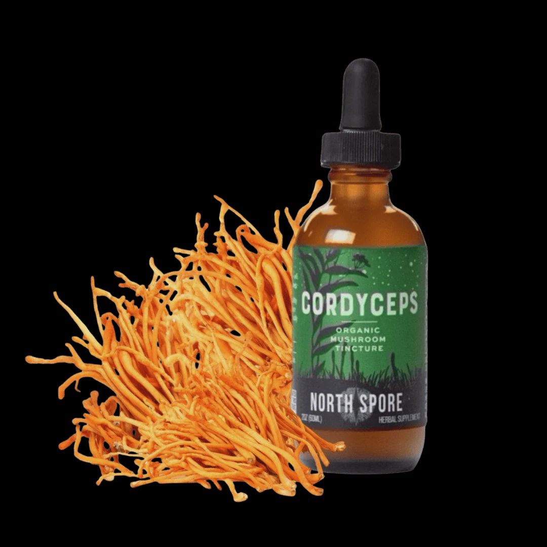 North Spore, Strain: Cordyceps Tincture