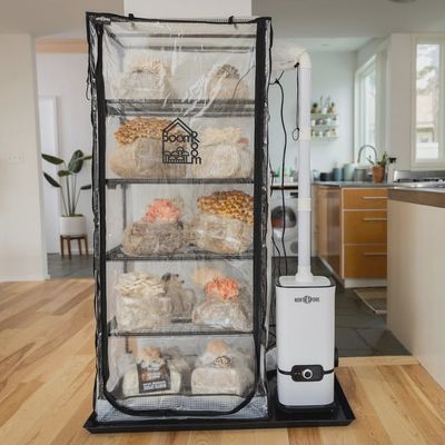 Saloon Signature Grow™ Turnkey solution