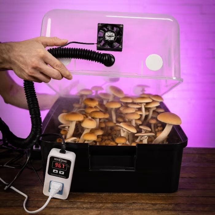 Boomer Bin Monotub grow kit (automated)