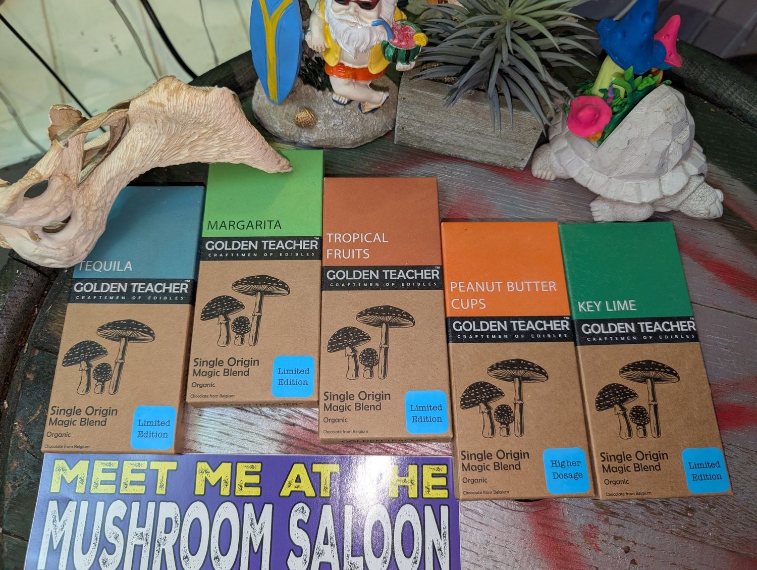 Craftsman Chocolate Mushroom Edibles