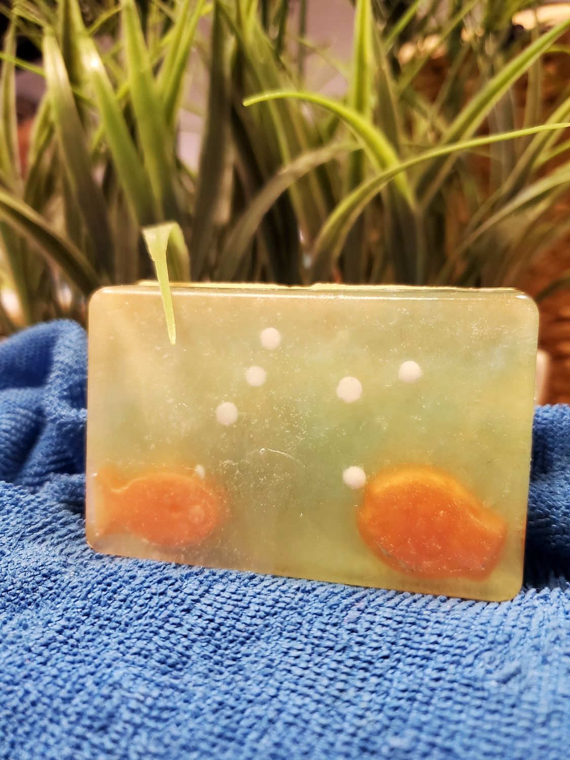 DIY Fishy Soap