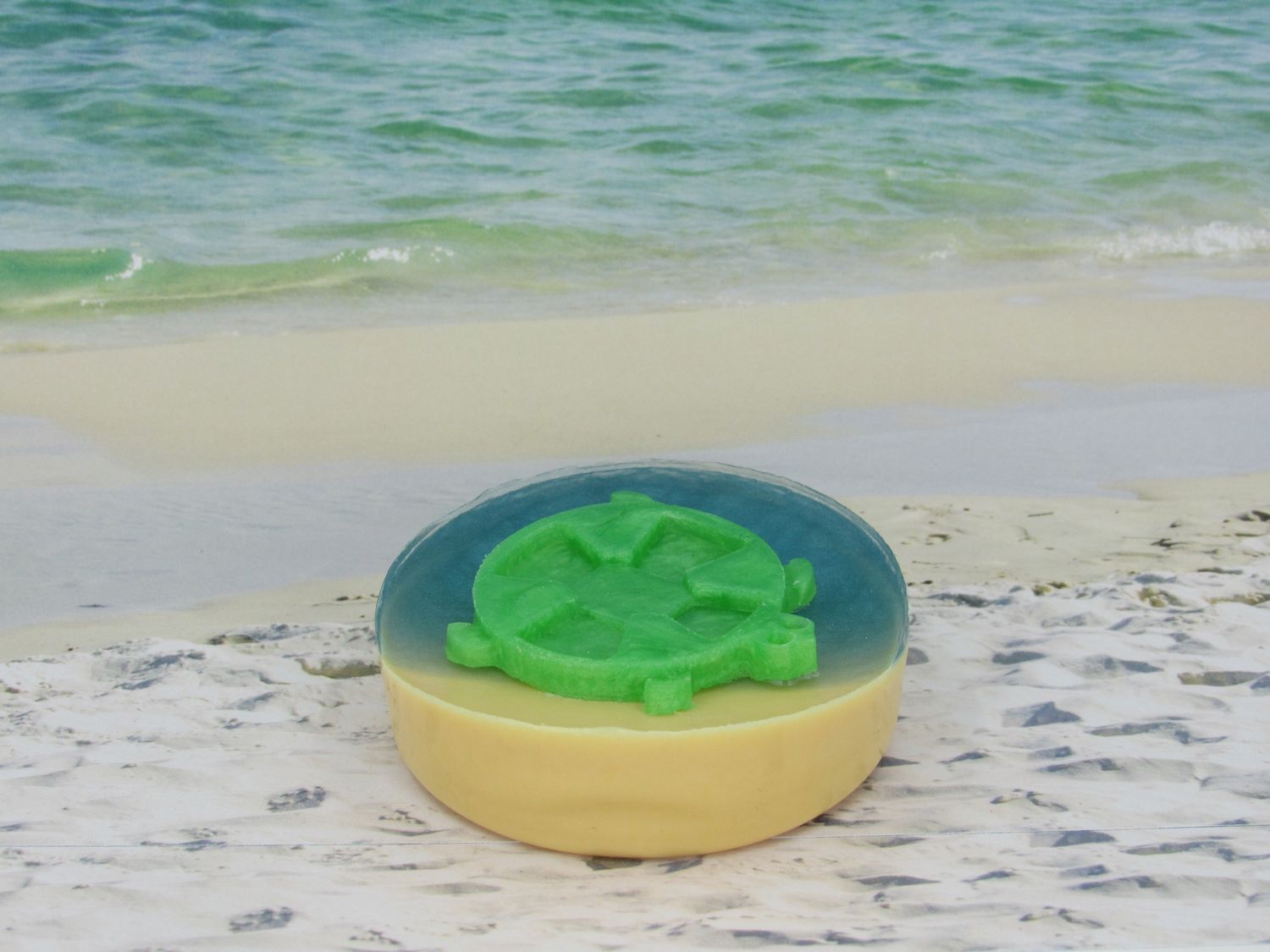 Walk-In Sea Turtle
