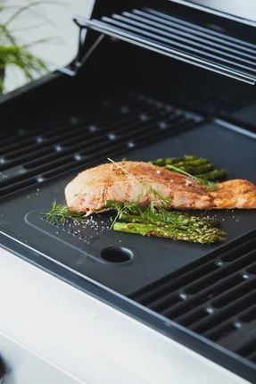 Barbecook Contactplaat Brahma