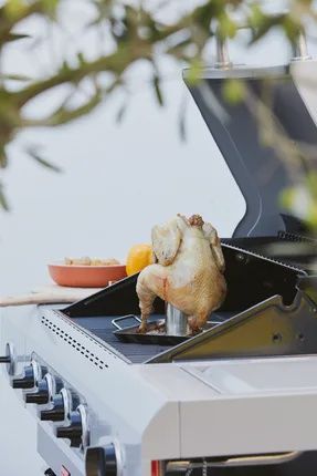 Barbecook Kiphouder