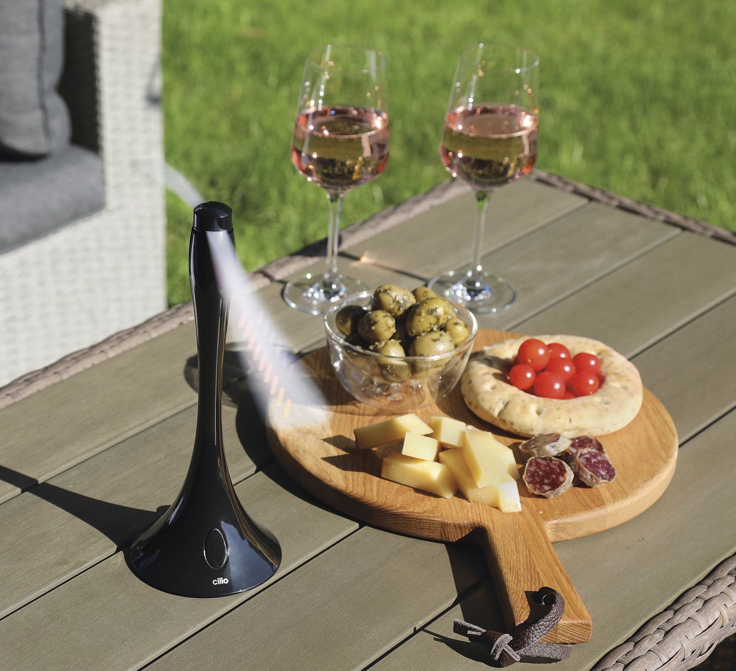 Cilio vliegenvanger Volare