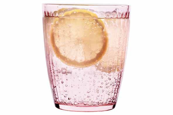 Cosy en Trendy set van 4 Lyra Tumbler 32CL- Pink