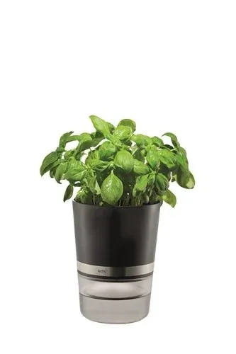 Gefu Kruidenpot BOTANICO