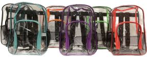Backpack - Clear - 15 Inch - Side Mesh Pockets - Front Mesh Organizing Compartment - Padded Straps - Black, Blue, Green, Purple