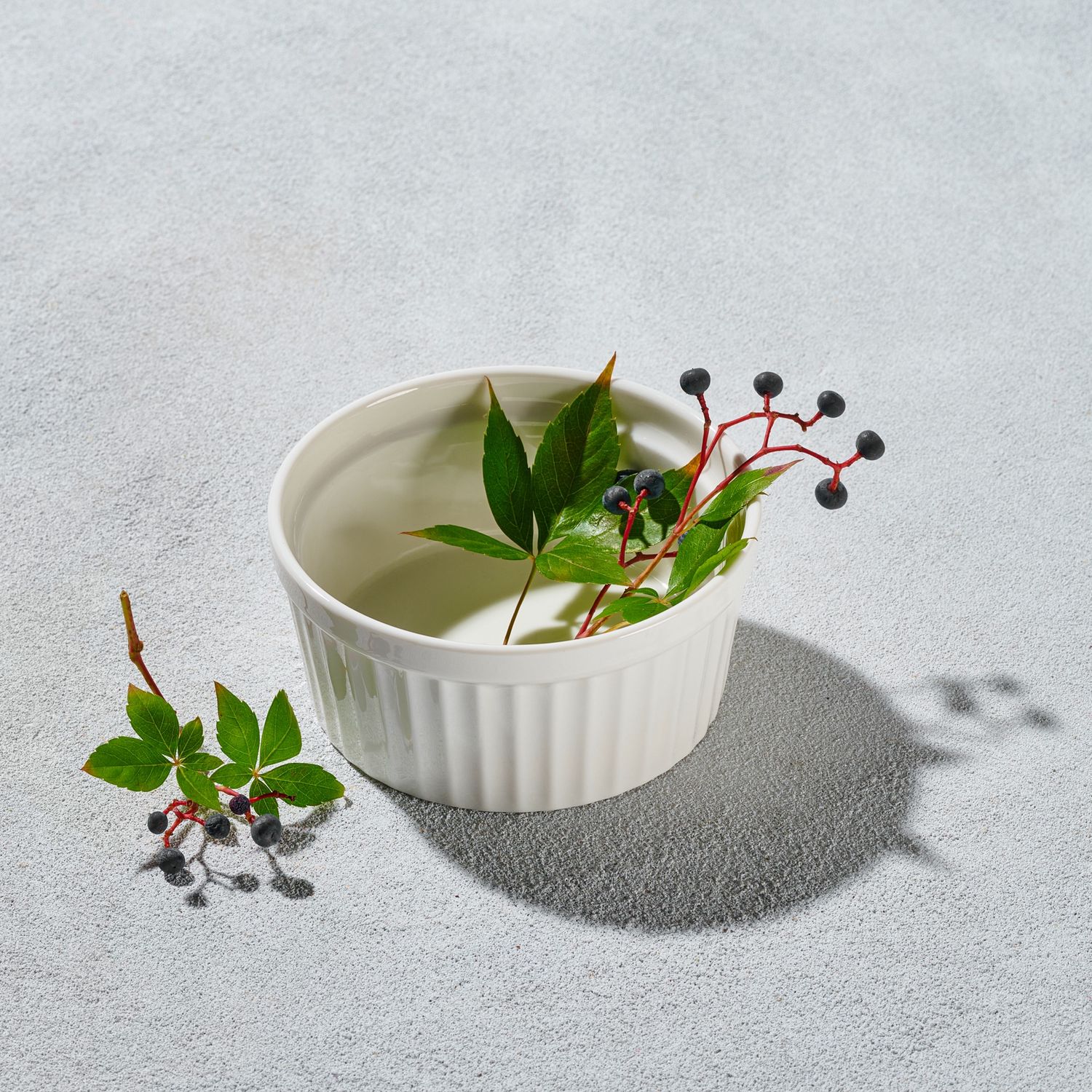 Artika - Ramekin - 11.5 Oz White