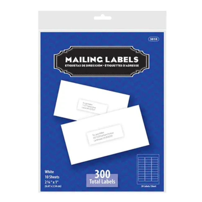 300 White Mailing Address Labels, 2-5/8 x 1 in