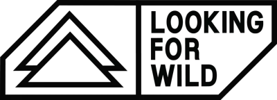 Looking for Wild