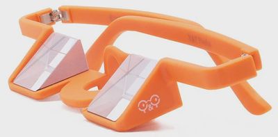 YY Plasfun Belay Glasses