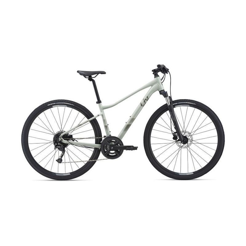 Liv Rove 2 DD Desert Sage 