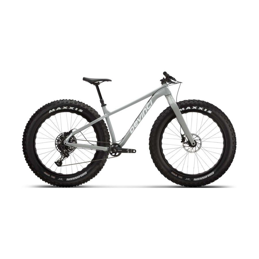 Devinci Minus NX 12s Silver
