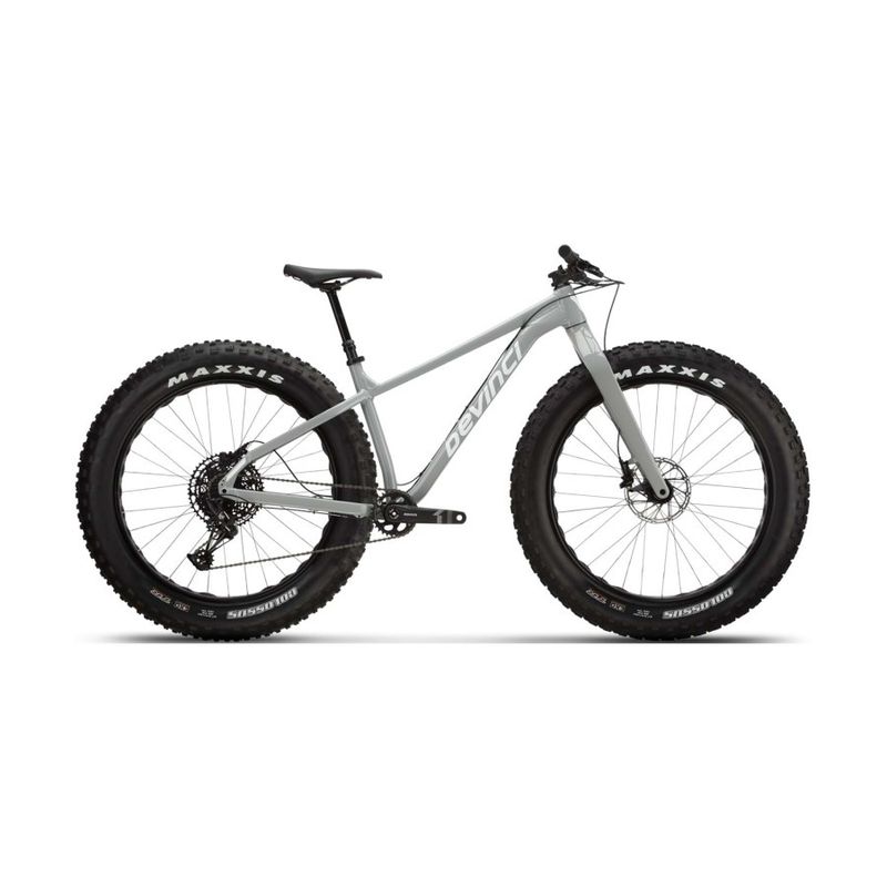 Devinci Minus NX 12s Silver