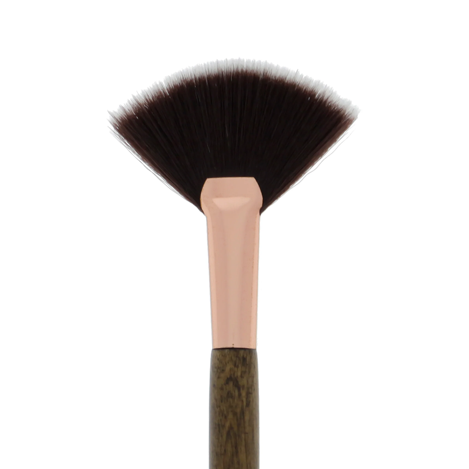 Highlight &amp; strobling fan brush 115 AMOR US  1dz