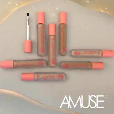Camouflage Concealer KL305  Amuse