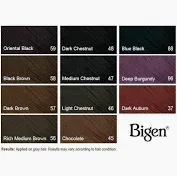 Bigen permanent powder hair color HOYU 88