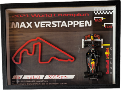 Max Verstappen 2021 World Championship