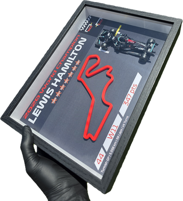 Lewis Hamilton 2020 World Championship