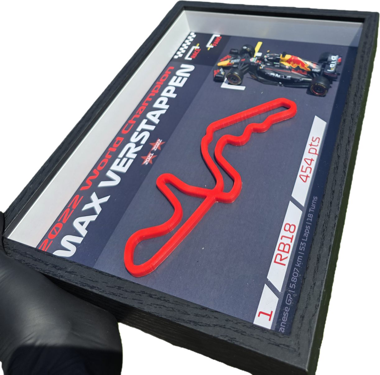 Max Verstappen 2022 World Championship