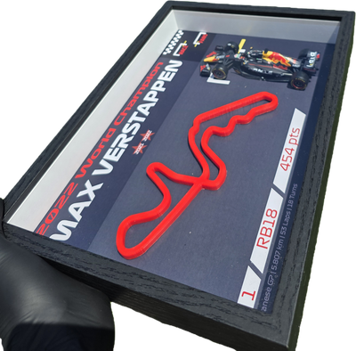 Max Verstappen 2022 World Championship