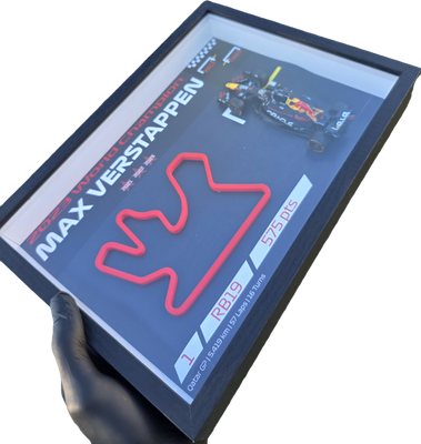 Max Verstappen 2023 World Championship